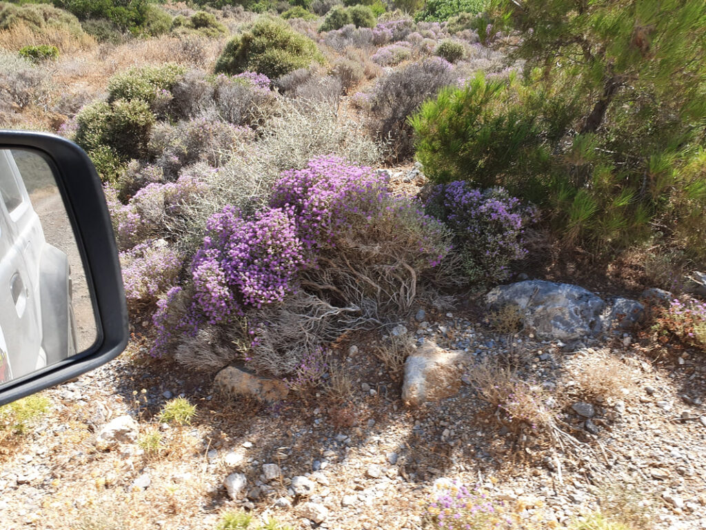 20190712-111602_orig