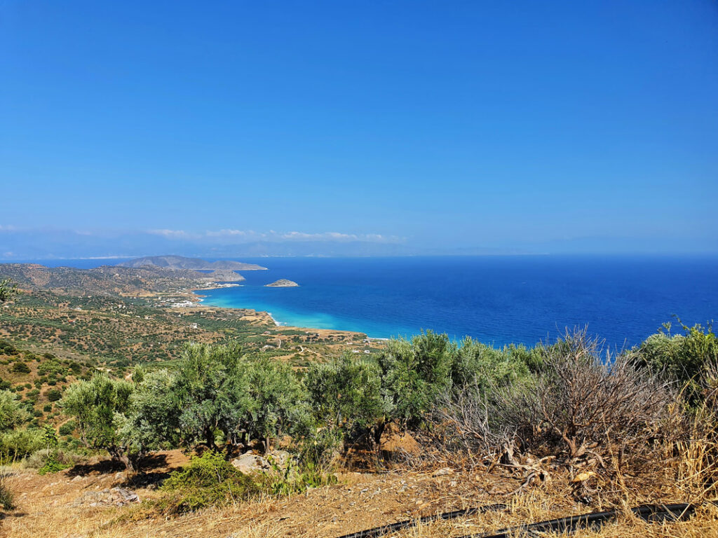 20200709-100808-01-1_orig