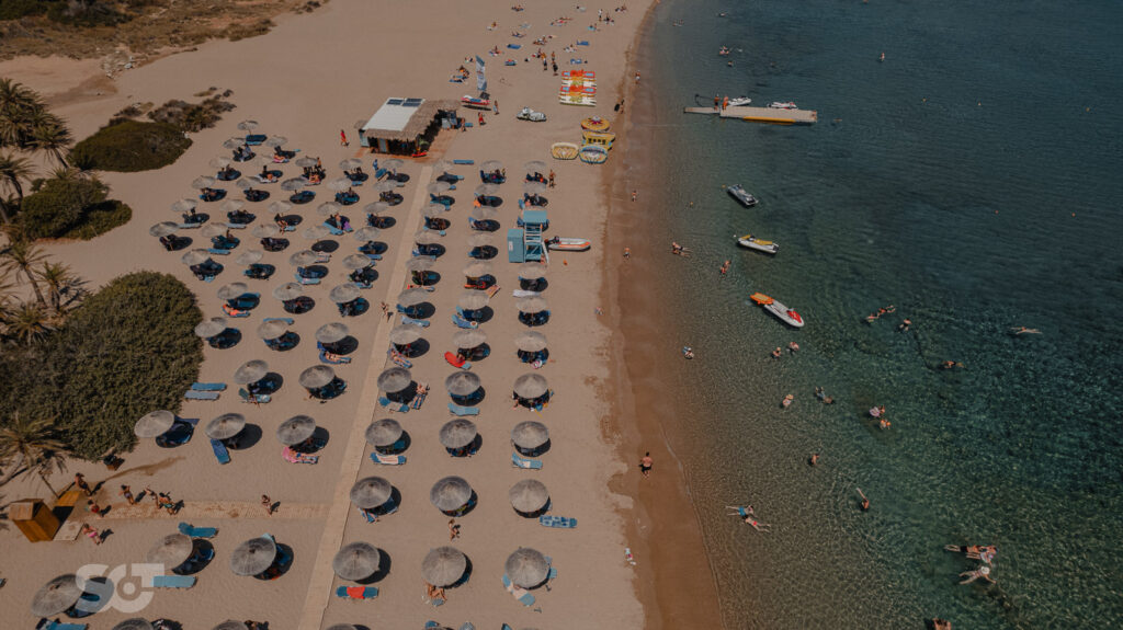 Vai – East Crete Excursion