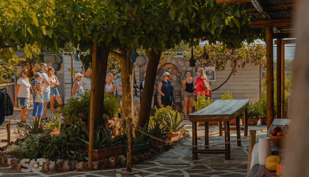 Cretan Olive Farm – Village Trip, Excursions in East Crete