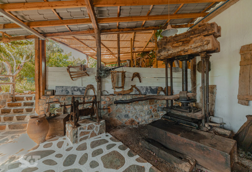 Cretan Olive Farm – Village Trip, Excursions in East Crete