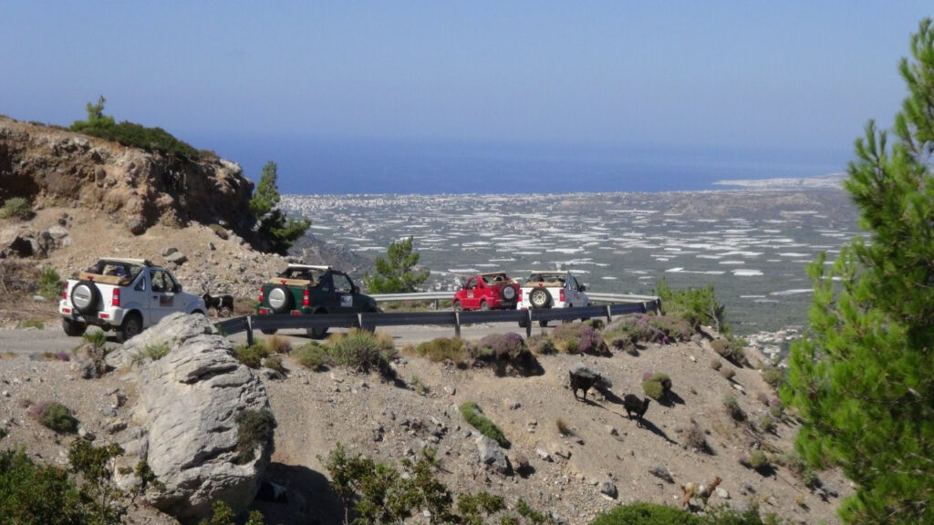 whatsapp-image-2023-01-22-at-16-54-34_orig