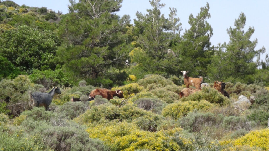 whatsapp-image-2023-01-22-at-17-03-13-3_orig