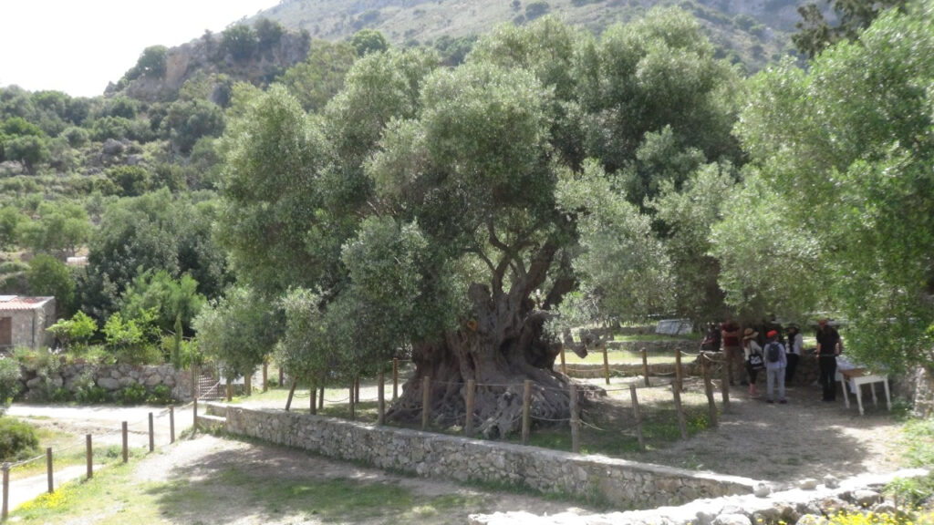 whatsapp-image-2023-01-22-at-17-03-13_orig